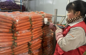 关注粮食浪费丨不少蔬菜水果进了垃圾桶，如何减少损耗浪费？