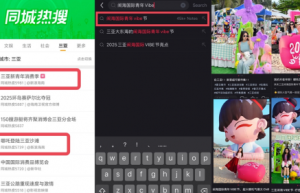 “消博会・购在中国 2025潮玩三亚新青年消费季暨闹海国际青年VIBE节”圆满收官