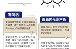 喝下一杯咖啡,身体会发生什么变化?(尤其是开工迷糊人)