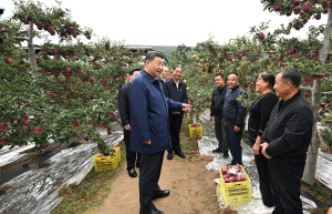 “让农民腰包越来越鼓、生活越来越美好”——习近平总书记走进田间地头话“三农”