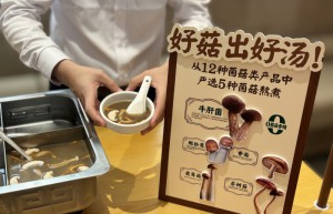 探索好食材，打造优质产品；走进海底捞云南菌菇工厂解码浓汤锅秘密