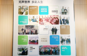 华宝国际的暖心答卷：残疾人就业关怀，点亮社会责任之光