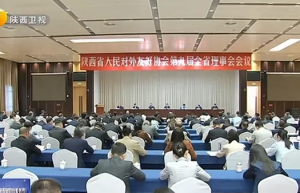 大唐领域控股总裁邵林荣任陕西省人民对外友好协会第九届理事