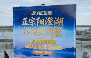 AC生活开捕阳澄湖——AC生活100%官方认证大闸蟹正式上线