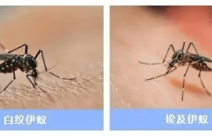 6天报告775例！不见面也能传染！多地疾控紧急提醒