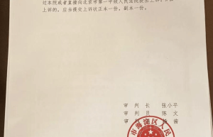 江歌妈妈刑事自诉作家陈岚造谣诽谤一审被驳回，双方回应
