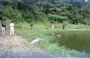 破了！南京警方披露中山陵景区湖底沉尸案