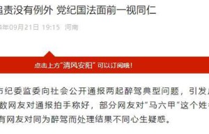 同是醉驾领导被轻饶？判刑与否是处罚不同的关键