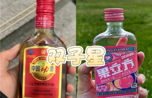 当代饮酒自救指南：劲酒负责养生，果立方负责快乐